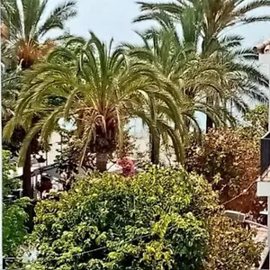  Appartement Beach Old Town